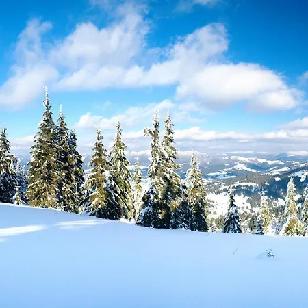 аква بيت ضيافة 3*