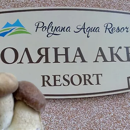 аква Polyana (Transcarpathia)