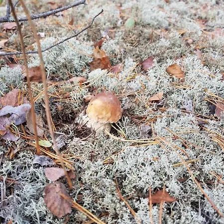 Gasthuis аква 3*