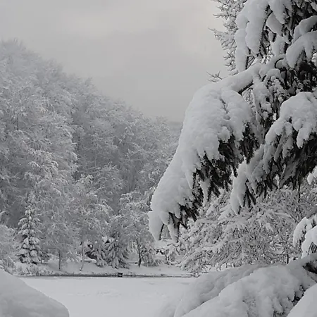 аква بيت ضيافة