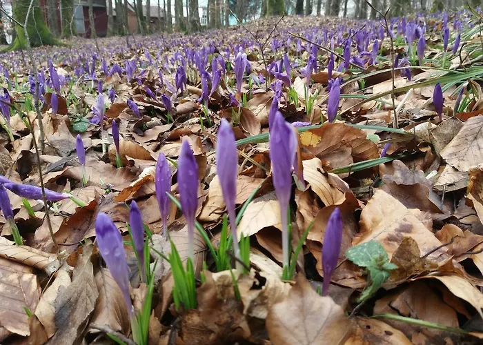 招待所 аква 3*